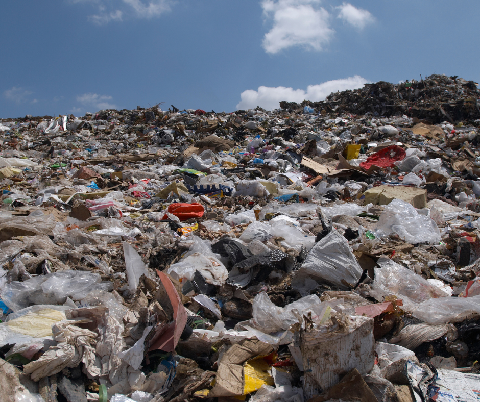 College mikt met afvalkoers op schonere stad en beter afval scheiden