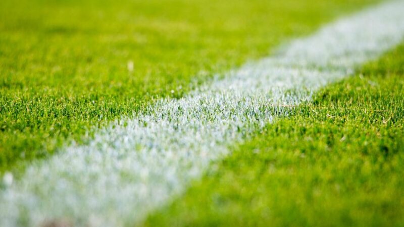 Vitesse eigenaar Oyf bereid aandelen Vitesse over te dragen